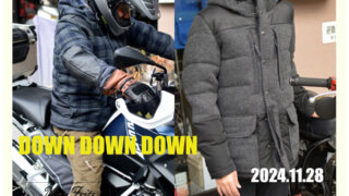 シップスダウン DOWN DOWN DOWN | マックスフリッツ神戸｜MaxFritz Official Web